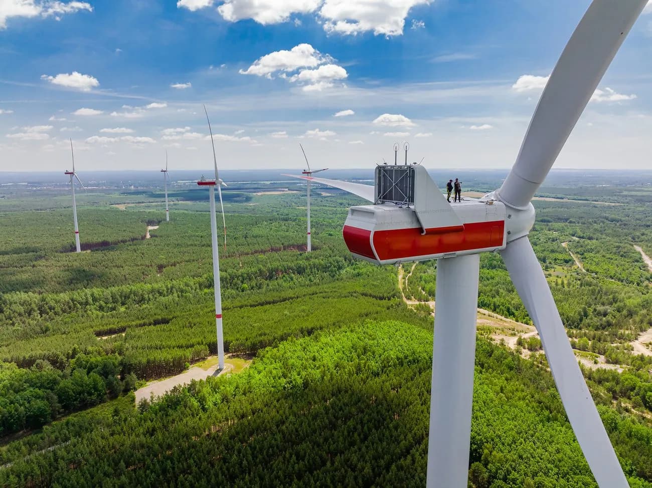 Windräder in einer grünen Landschaft